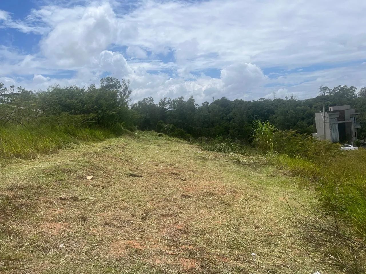 Foto - Jandira - Vila Tolaini