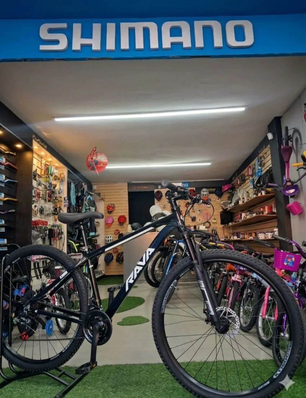 Bicicleta 