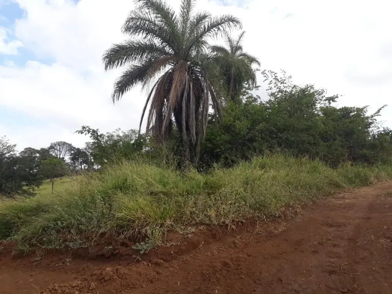 FAZENDINHAS parcelada em 180 x de R$1.155,00 - Foto 5