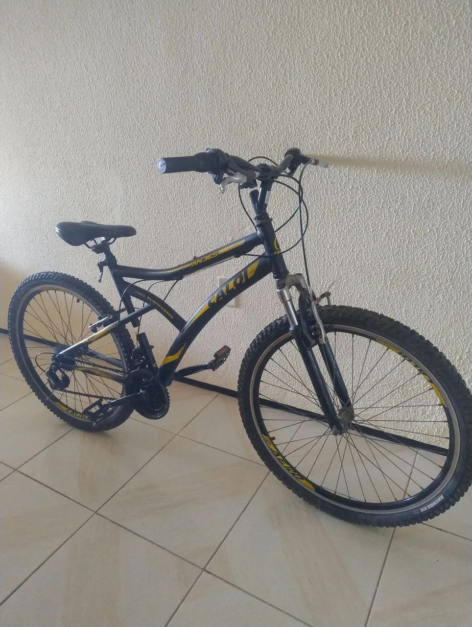 Bicicleta Caloi Andes 