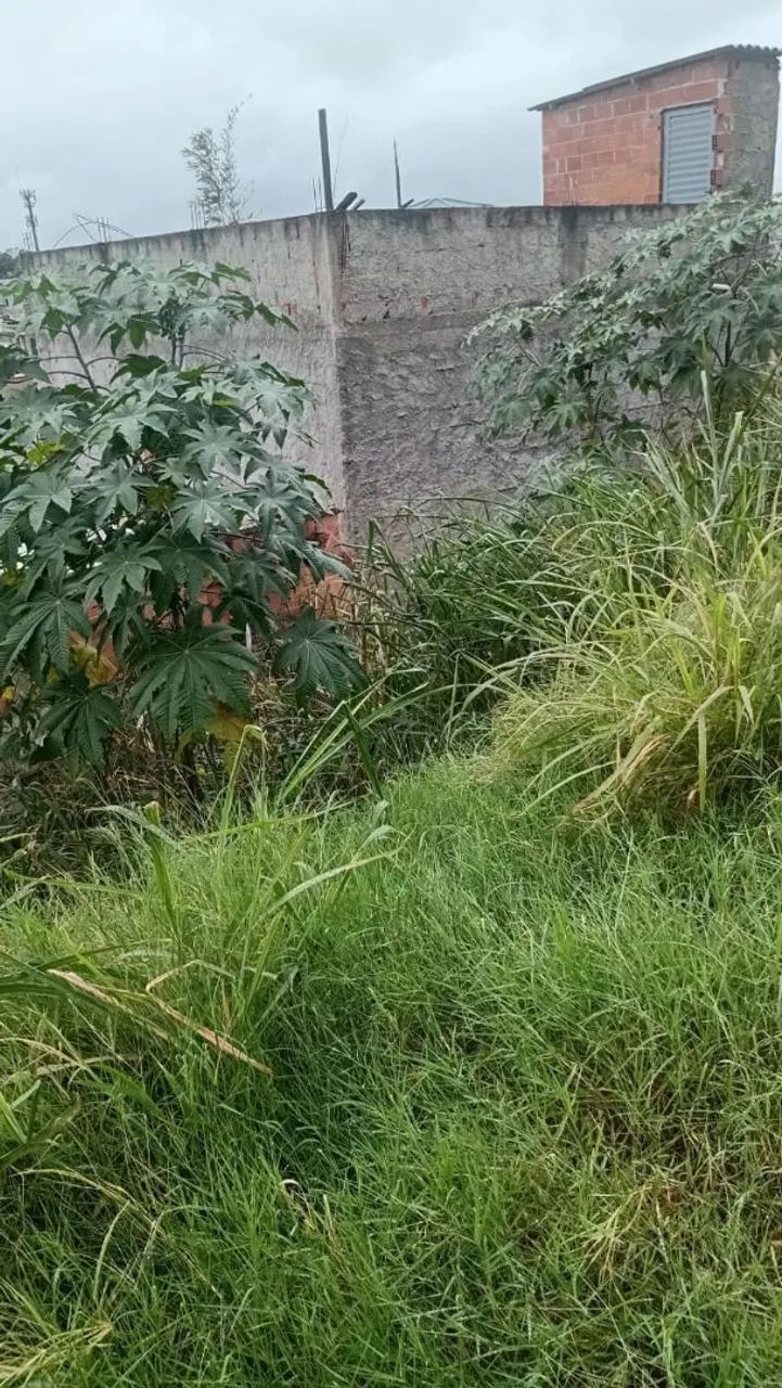 VENDO 2 TERRENOS EM ANCHIETA - Foto 2