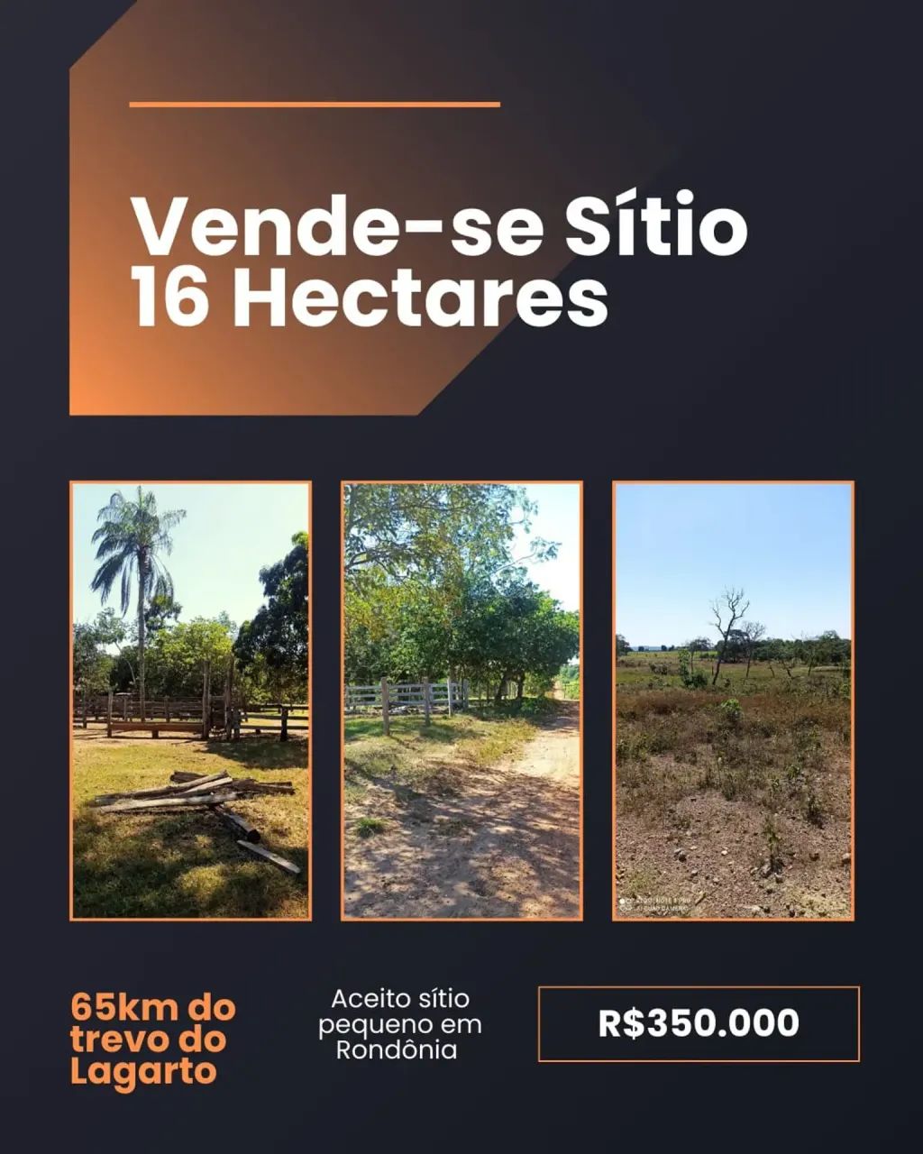 sitio de 16 hectares 350 - Foto 4