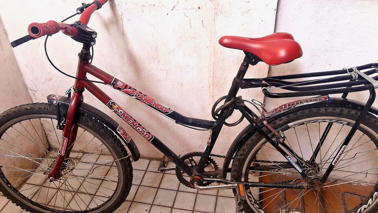 Bicicleta  - Foto 2