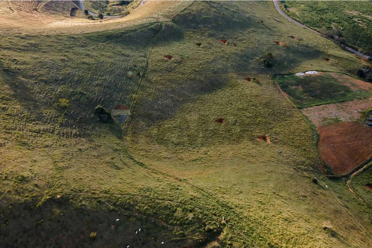 Fazenda com 131 Hectares - Foto 4