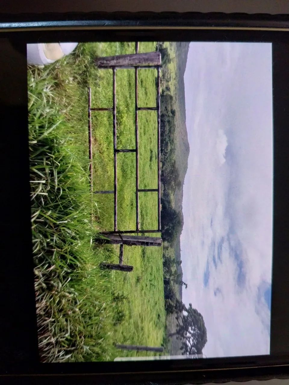 Fazenda com 20 alqueires