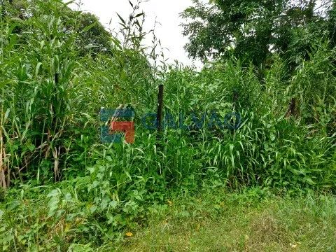 Terreno à venda na Praia de Boracéia em São Sebastião - SP