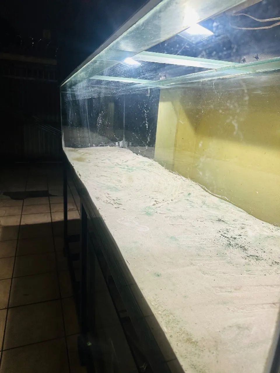 Aquário gigante de luxo - Preço de ocasião  - Foto 3