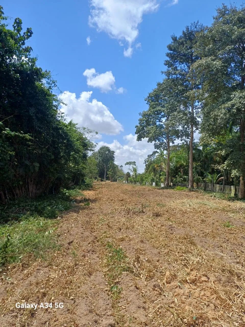 Terreno documentado em Belterra - Foto 2