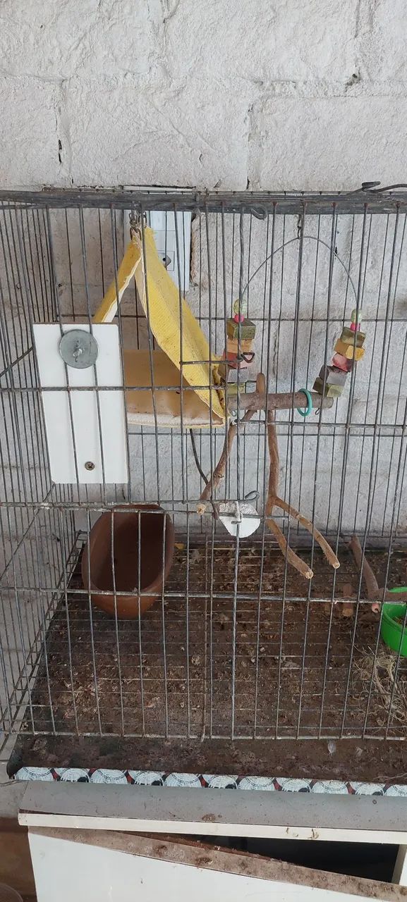 Gaiola de calopsita com acessórios.  - Foto 2
