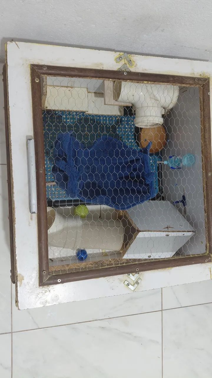 Viveiro para ratos e roedores pequenos  - Foto 2