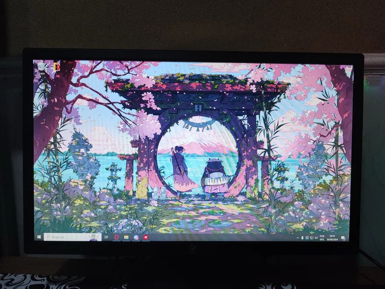 Monitor BPC 20?