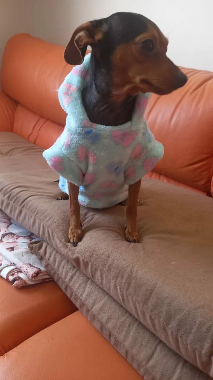 Camisa fleece animais - Foto 3