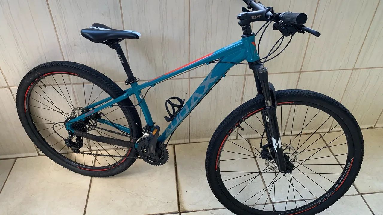 Bicicleta Audax