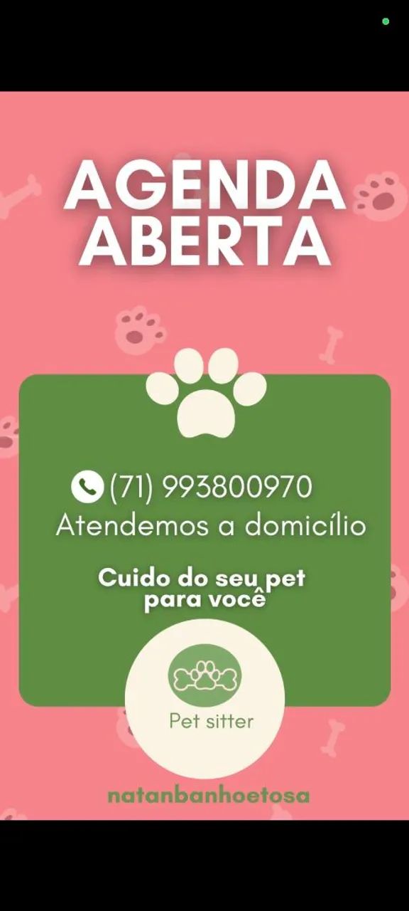 Cuidador De Pet - Foto 4
