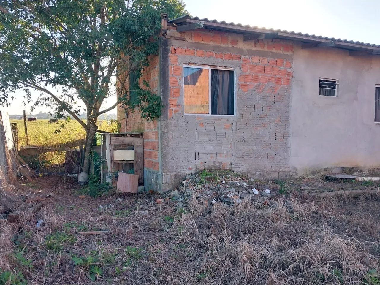 Vendo um lote nos fundos  - Foto 2