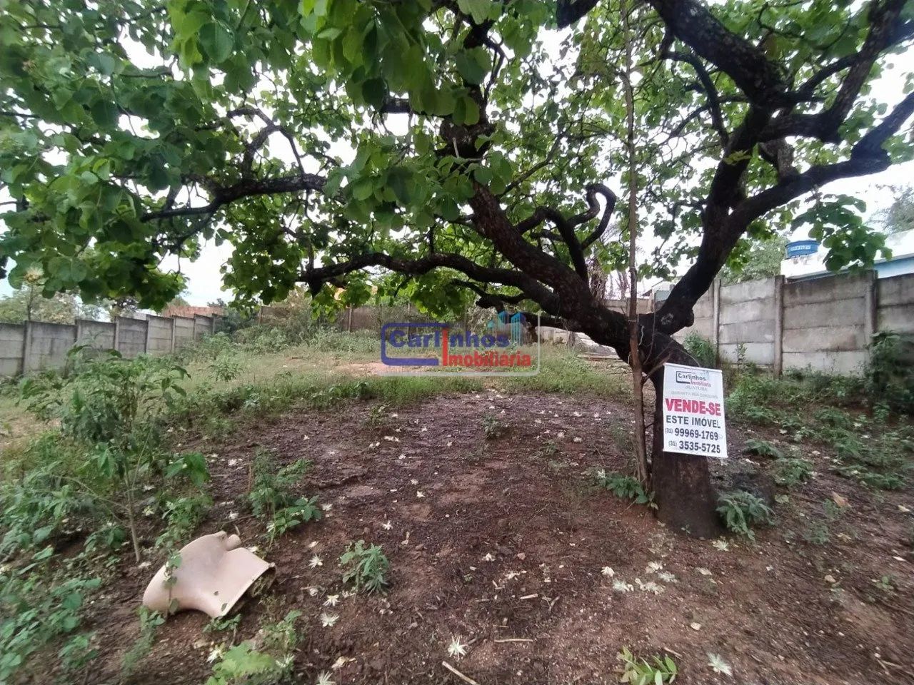 2 lotes à venda Samambaia, Juatuba - Foto 2