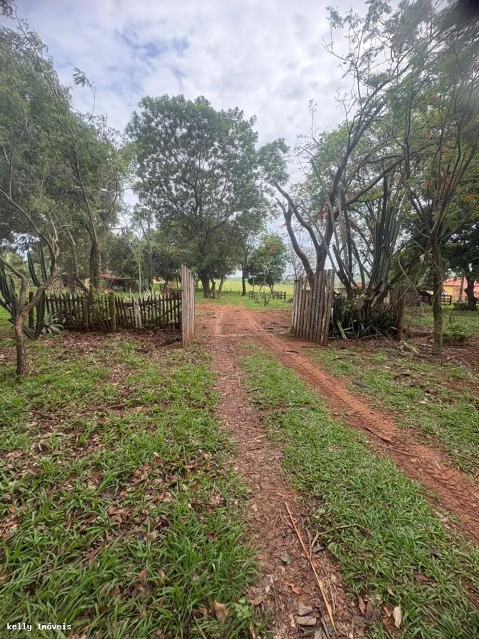 Chácara para Venda em Martinópolis / SP no bairro Rural - Foto 4