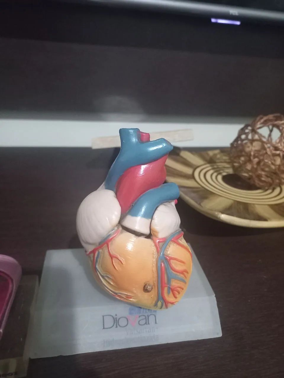 Peças de anatomia  - Foto 3