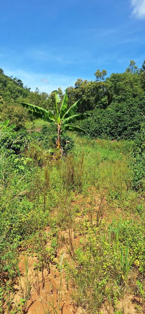 OPORTUNIDADE EM SANTA TERESA - Foto 5