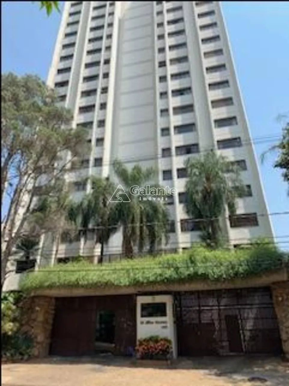 apartamento - Jardim Proença - Campinas