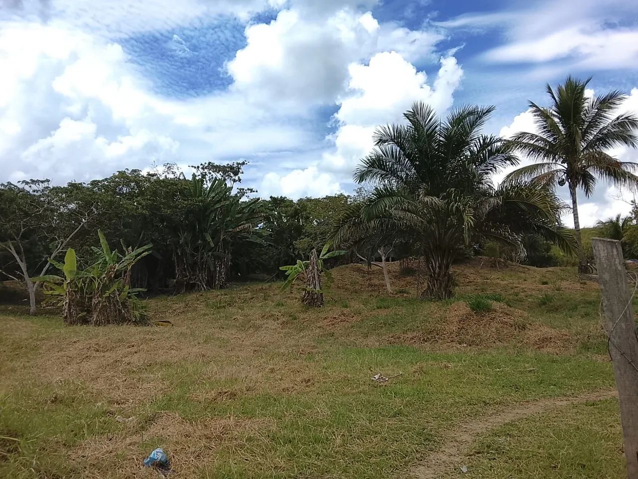 Chácara em Tarauacá - Foto 4