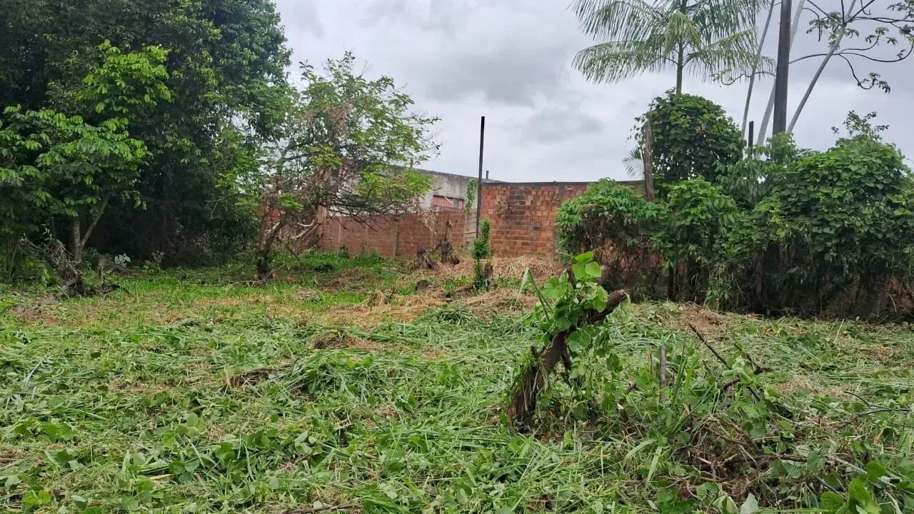 BARBADA, VENDO TERRENO DE 3.500 M2, PRÓXIMO A ARTHUR BERNARDES. - Foto 4