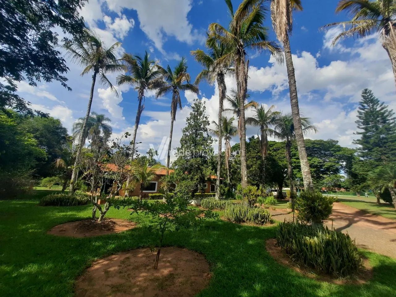 chácara - Chácaras Santo Antonio - Santo Antônio de Posse - Foto 3