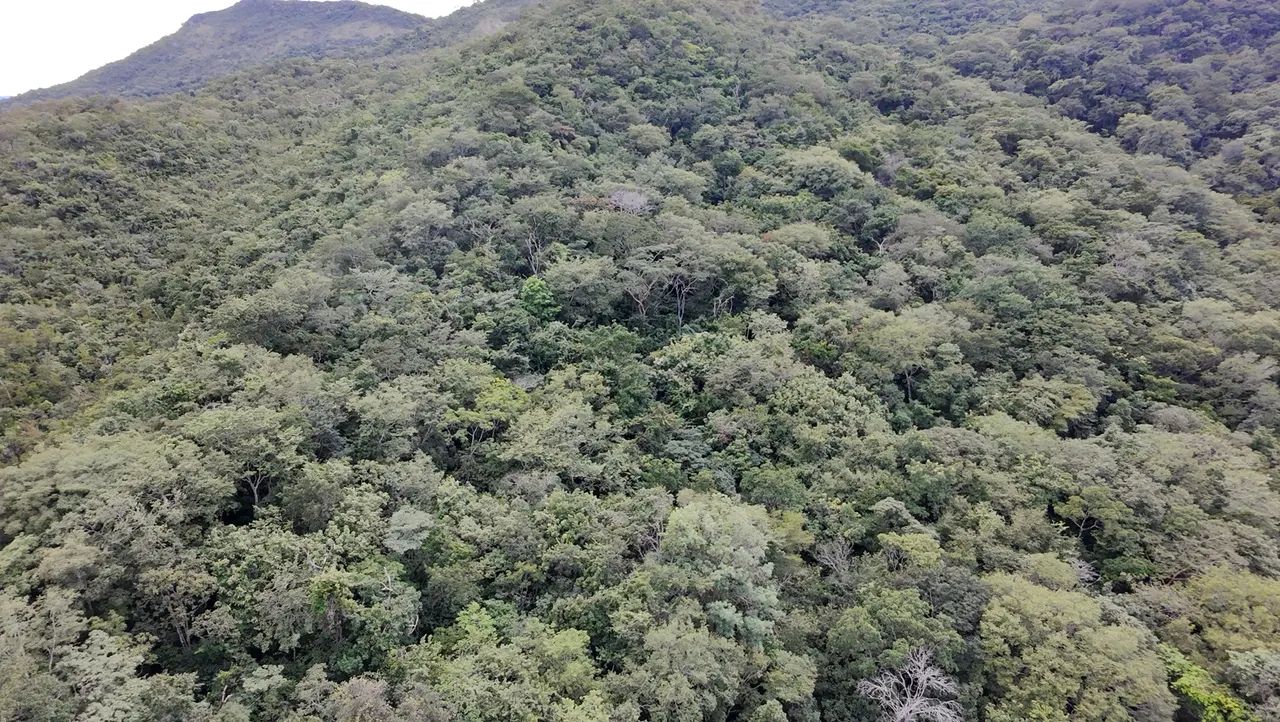 Fazenda de 30 alqueires e 61 litros  - Foto 2
