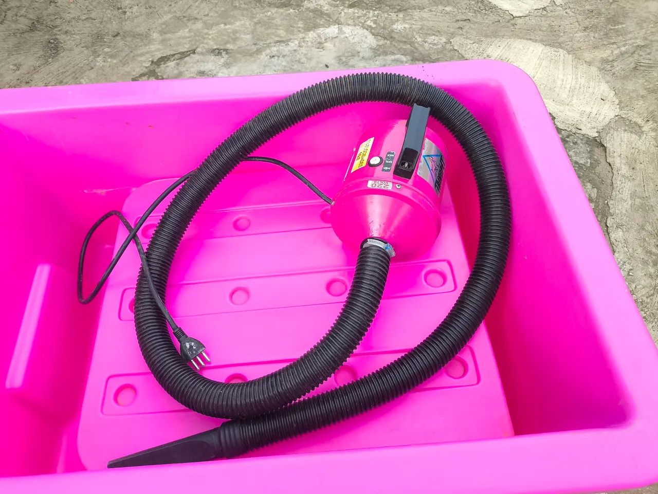 Banho e tosa pet