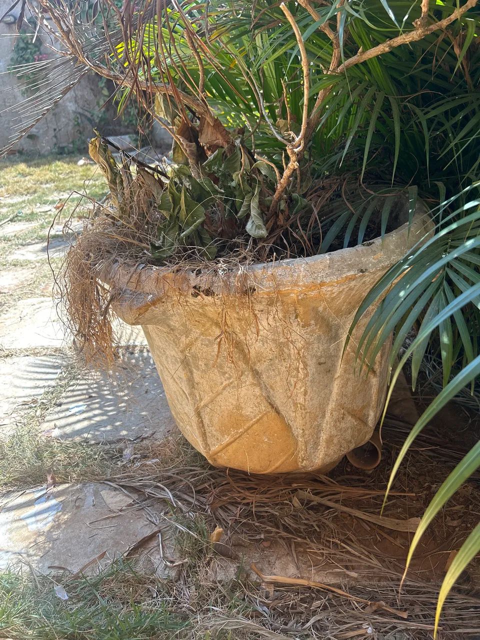 Vasos de plantas - Foto 4
