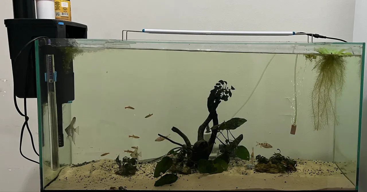 Aquario 125lts - Foto 3
