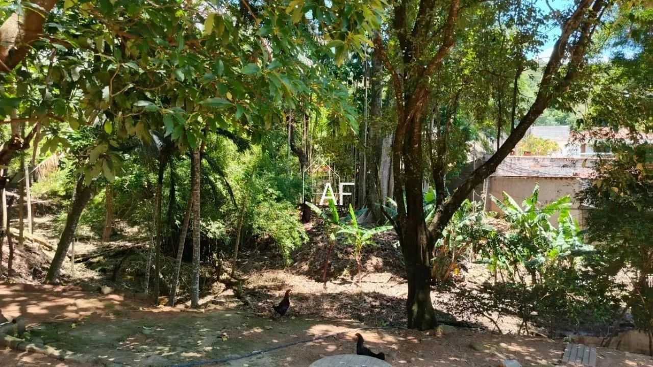 Chácara para Venda, 4000 m² - Foto 3