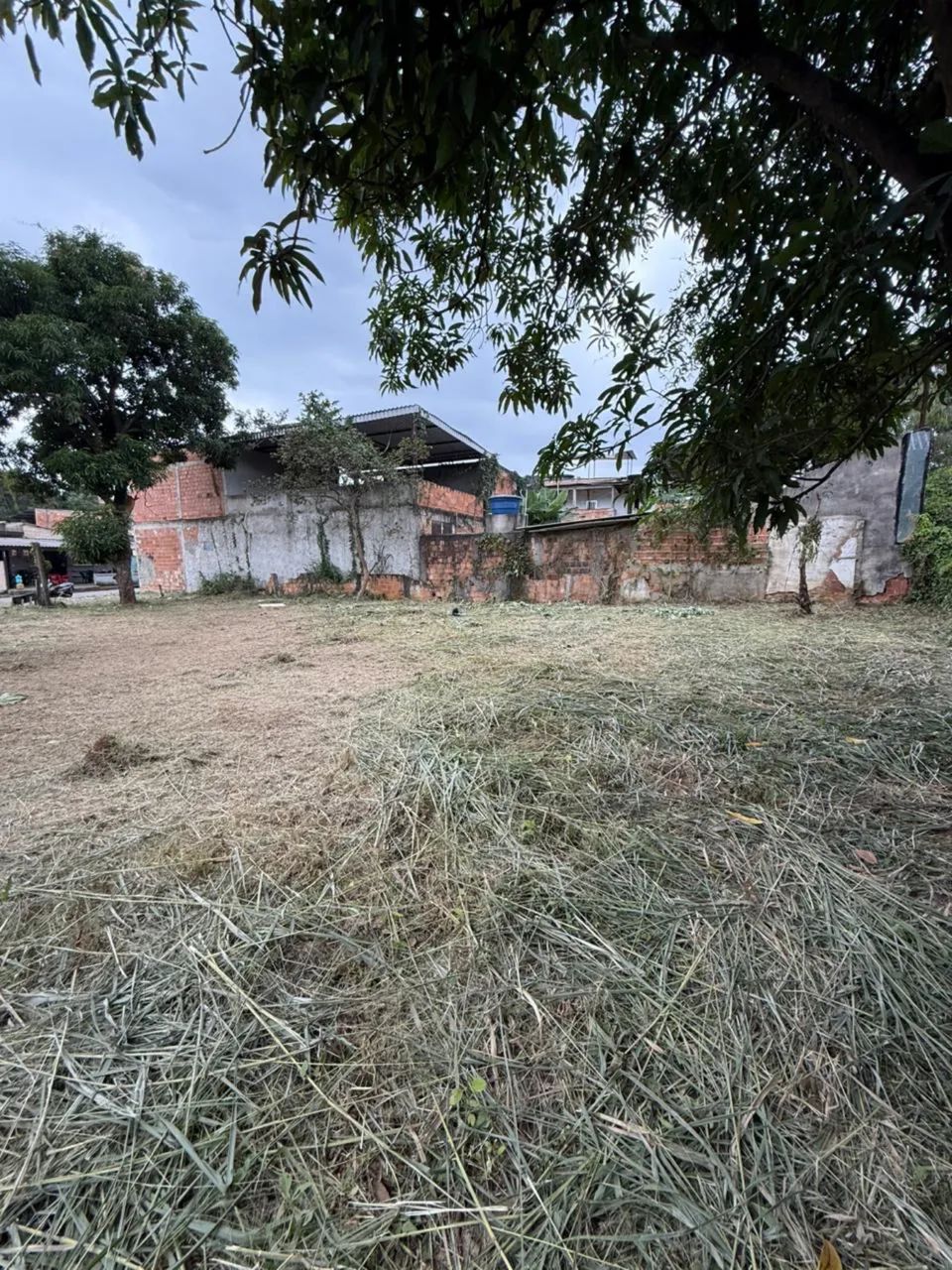 Vendo terreno em Austin 