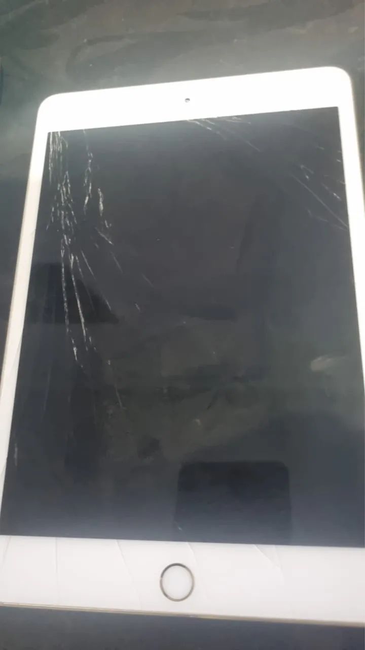 iPad mini 4