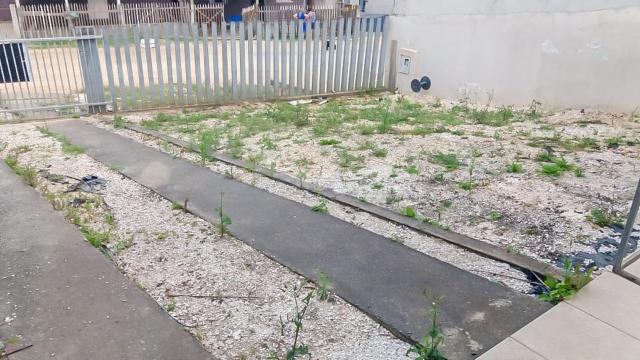 Casa à venda com 3 dormitórios em Jardim esmeralda, Colombo cod:148951 - Foto 11