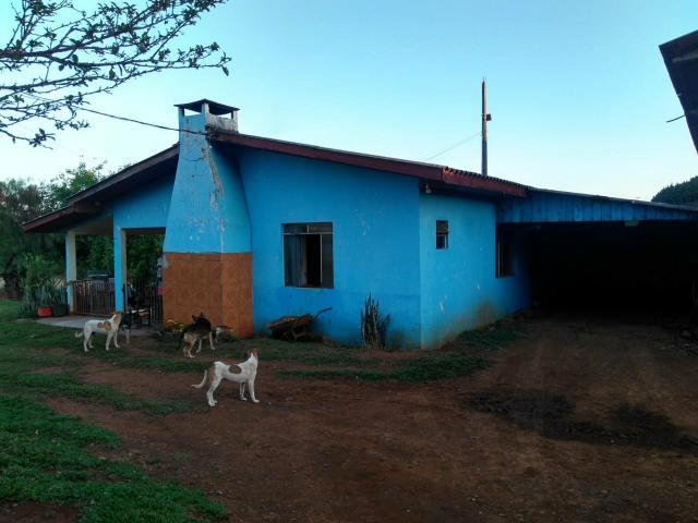 Fazenda de 66 Alqueires .50 Alqueires Mecanizados - 17 KM de Cantagalo PR - Foto 16