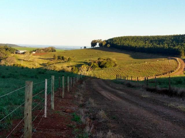 Fazenda de 66 Alqueires .50 Alqueires Mecanizados - 17 KM de Cantagalo PR