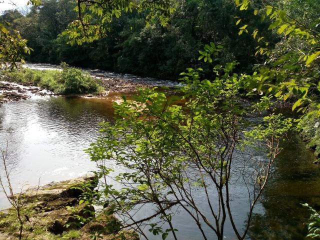 Chácara - São João da Graciosa - Morretes - Foto 20