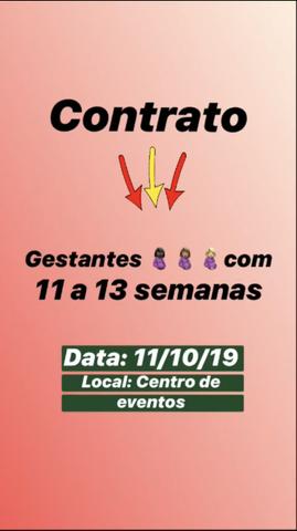 A Zaranza Produções está contratando