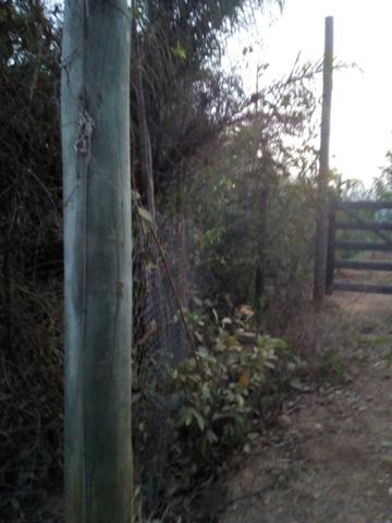 Chácara de 1500m2 - Foto 2
