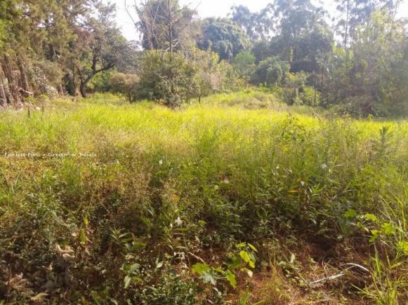 Terreno para venda em suzano, parque santa rosa - Foto 4