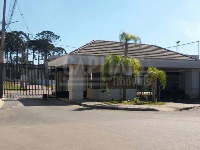 Terreno com 236m² no Jardim Iná São José dos Pinhais - Foto 2