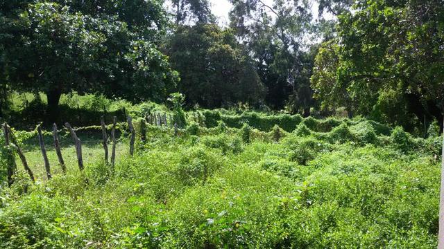 Granja Riachão 14.5 Hectares, 3 Baias, Aprisco, Cocheira, Poço, Casa sede e Morador - Foto 6