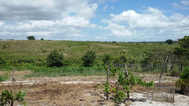 Granja na BR 101, 33 Hectares, 2 Rios, Casa Sede, 3 Baias, Poço, Pasto, Capim - Foto 6