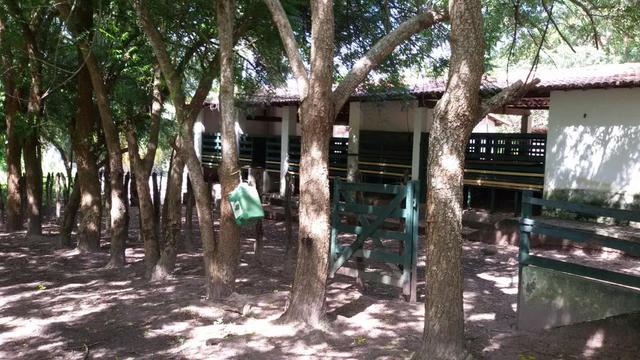 Granja Riachão 14.5 Hectares, 3 Baias, Aprisco, Cocheira, Poço, Casa sede e Morador - Foto 20