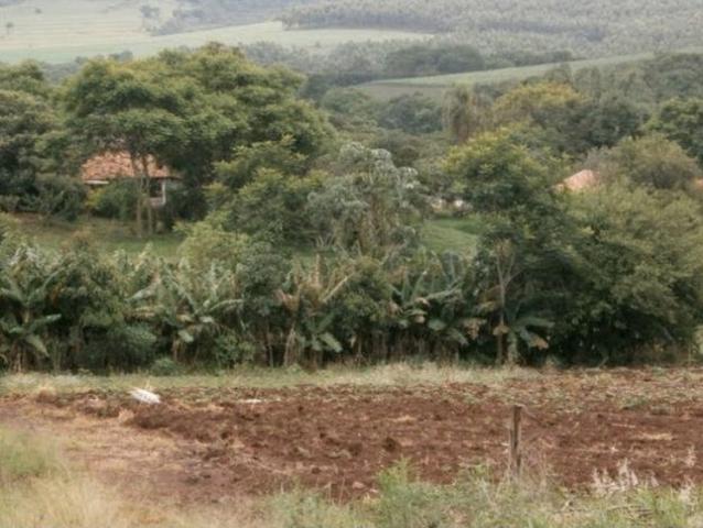 Sítio 6 alqueires em Santa Maria a 30km de Cascavel. - Foto 4