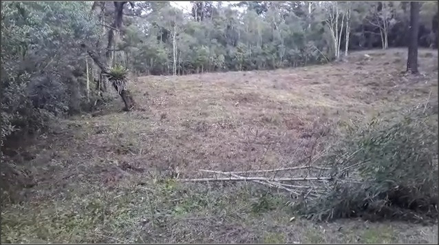 Belíssimo Terreno em Campos do Jordão! - Foto 2