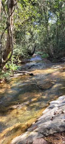 foto - São Roque de Minas - 