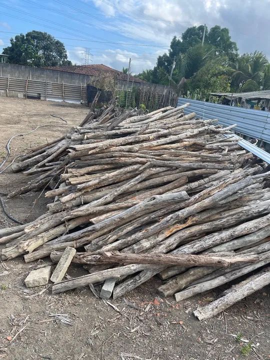 Madeira sabia para cerca