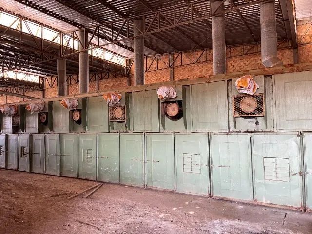 Secador de Lâminas Beneck 12 câmaras de 3 pistas  - Foto 5